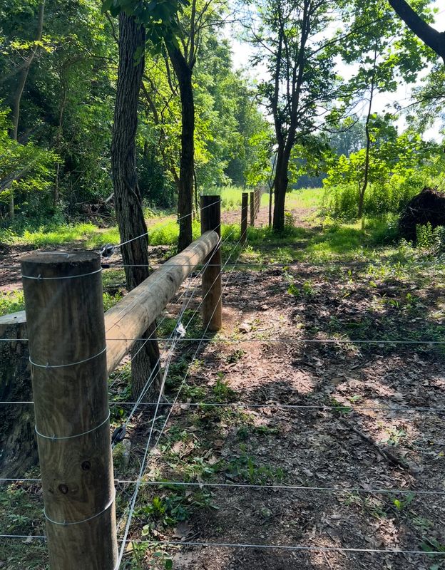 Fence Installation