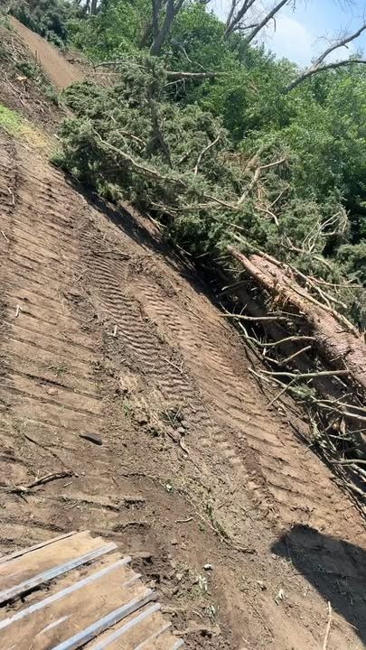 Land Clearing