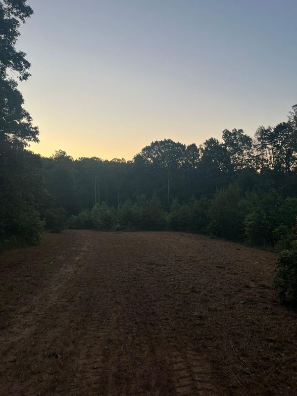 Brush cutting/clearing