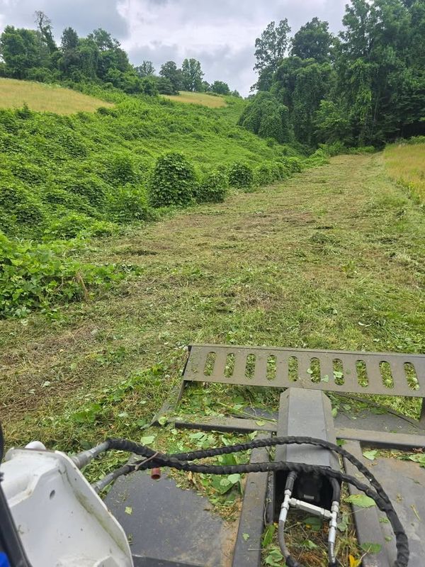 Bush Hogging