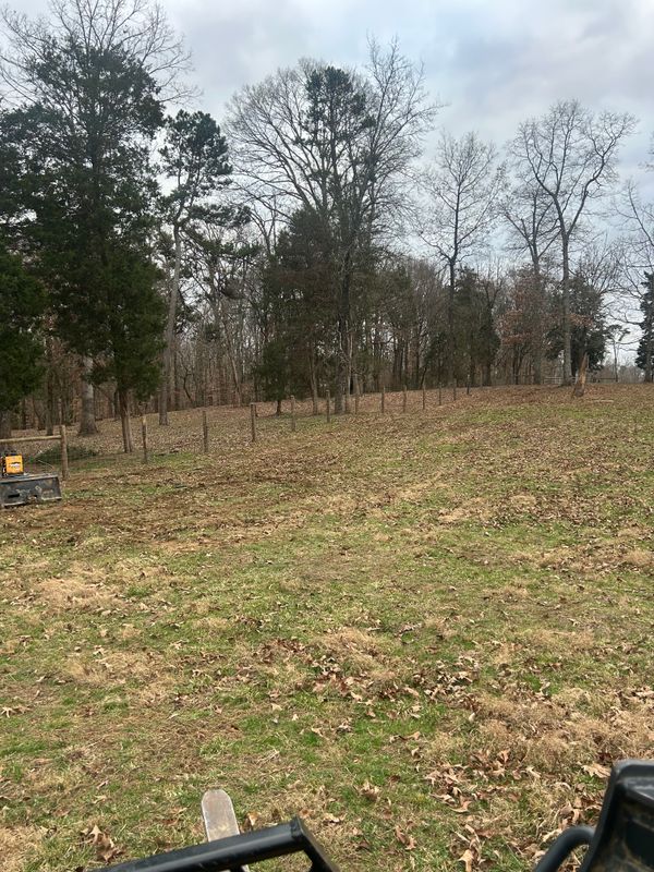 Land Clearing