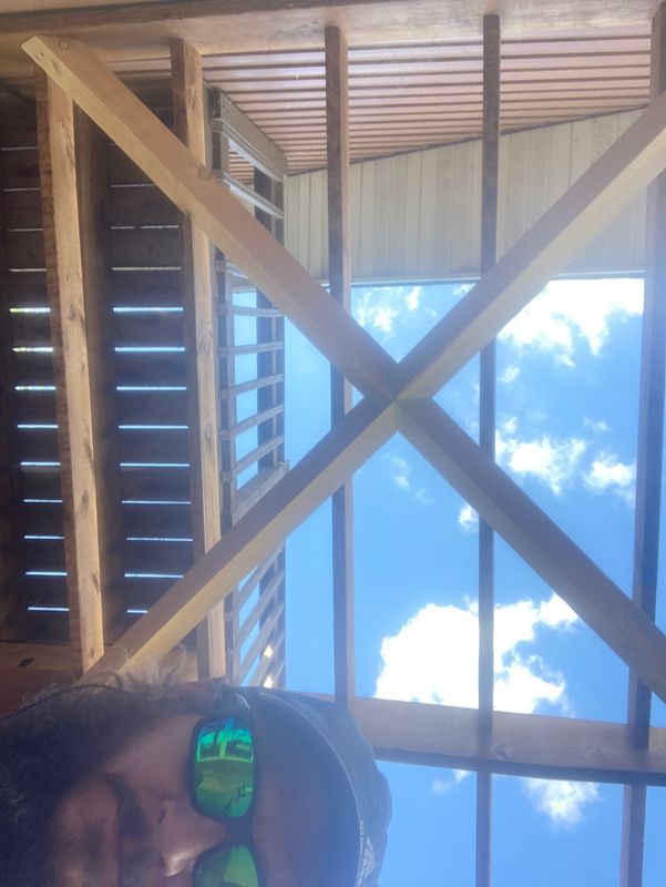 Windows and skylights