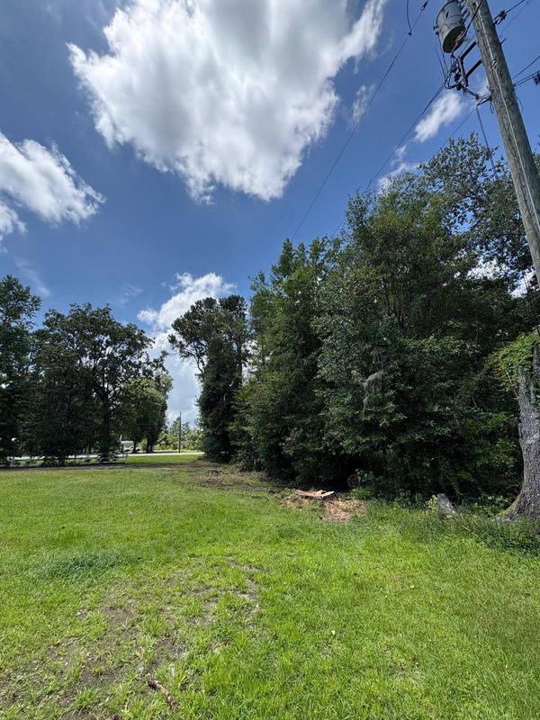 Tree Trimming and Removal
