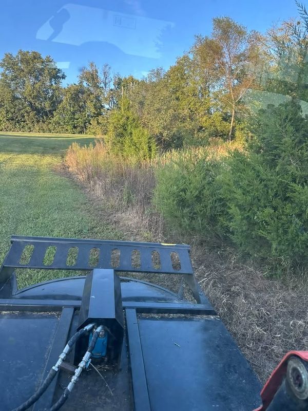 Bush Hogging