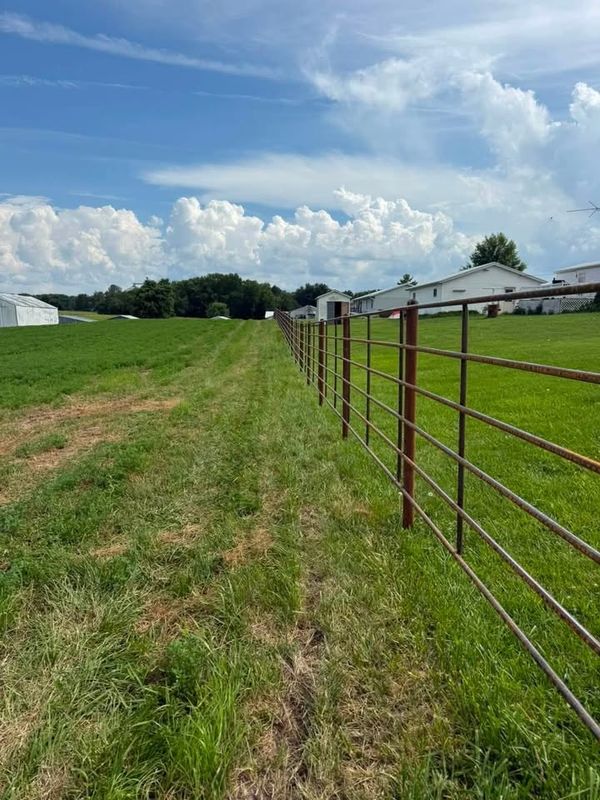 Agriculture Fencing