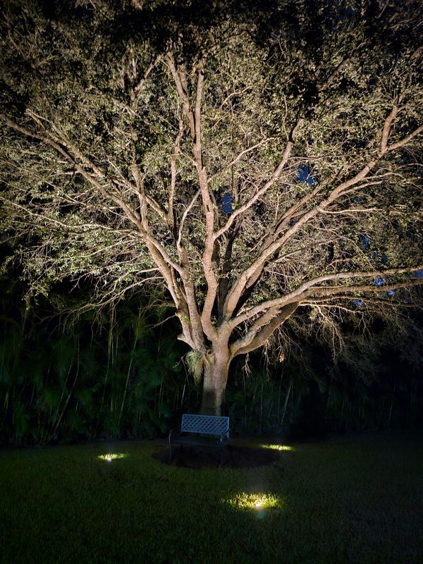 Landscape Lighting gallery