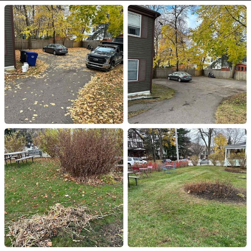 Fall and Spring Clean Up