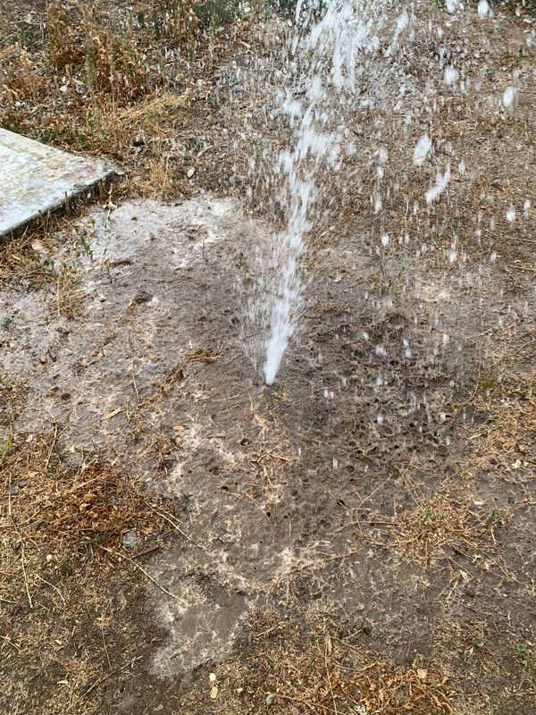 Sprinkler Repairs