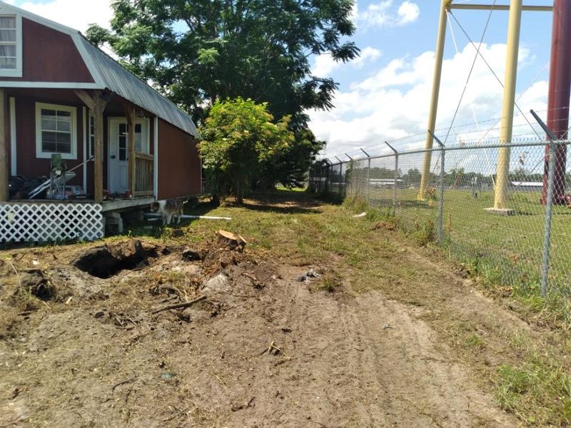 Site Cleanup and Preparation