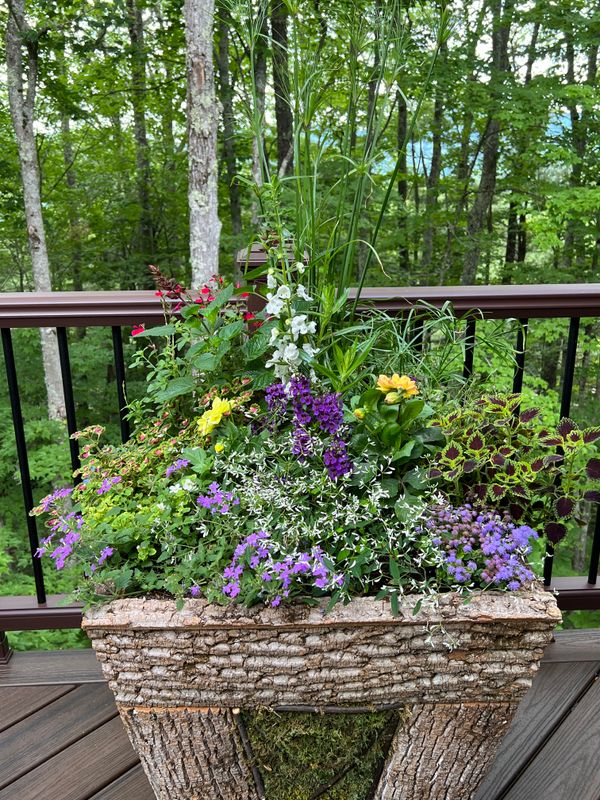 Container Gardening