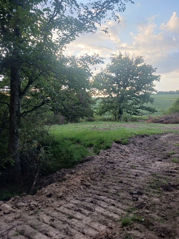 Land clearing