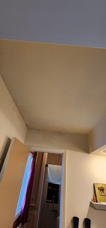 Interior Renovation