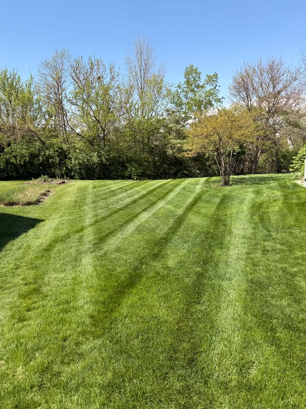 Lawn Care and Maintenance