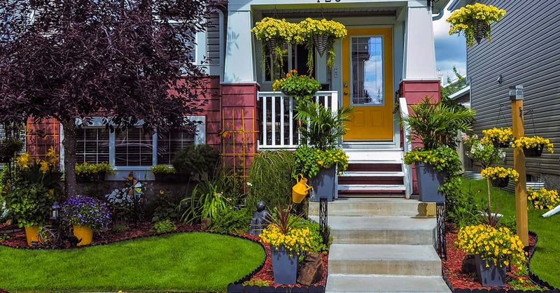 Fall & Spring Clean Up