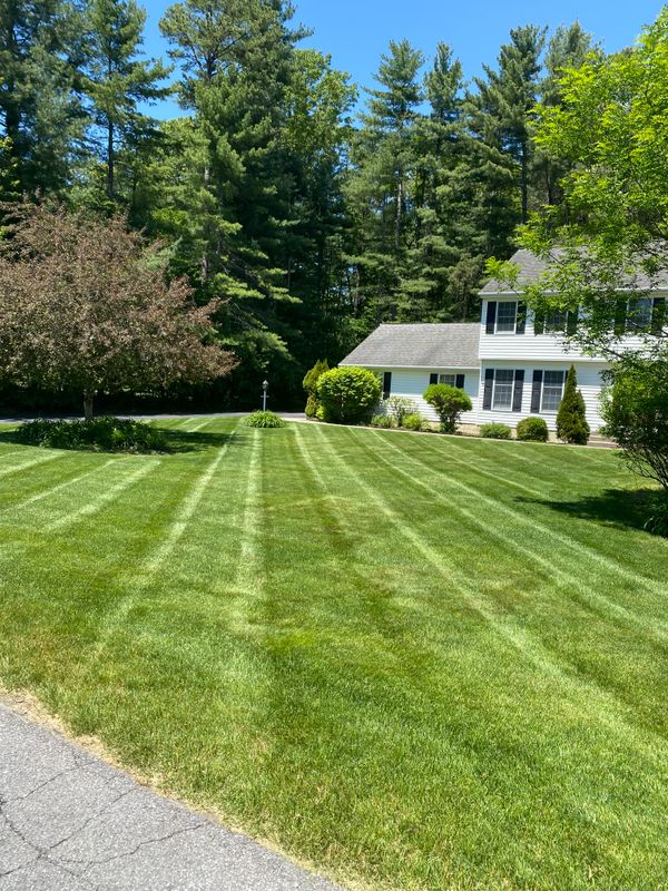 Mowing