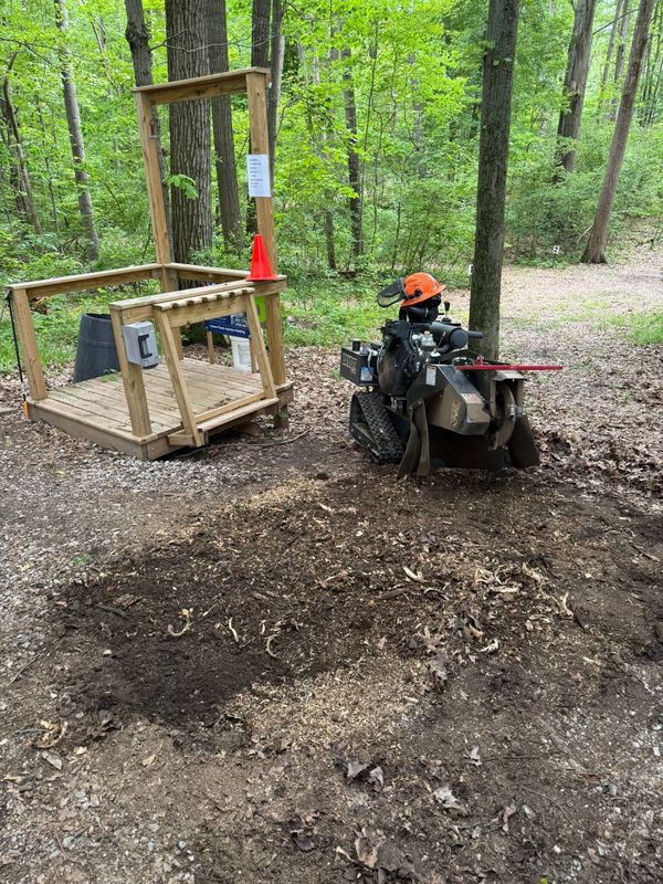 Stump Removal gallery
