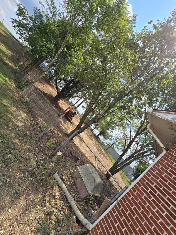 Property clean up