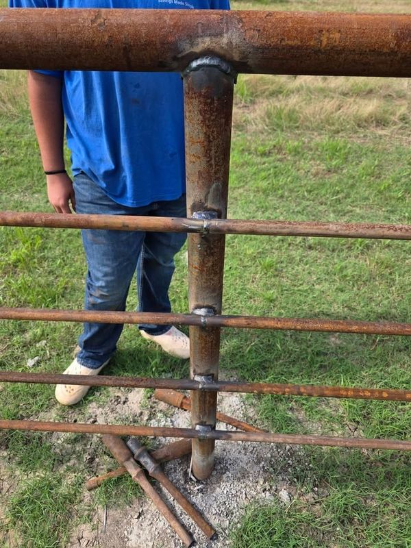 Custom Fence Design