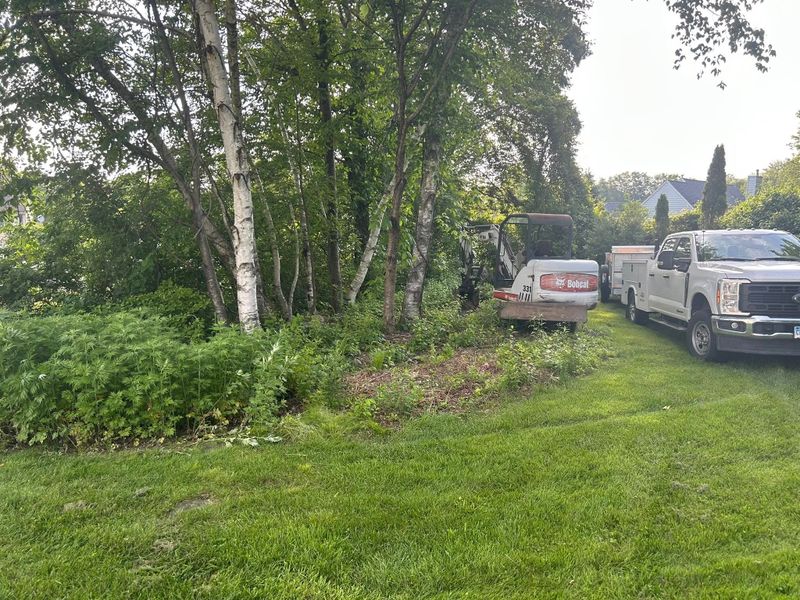 Land Clearing