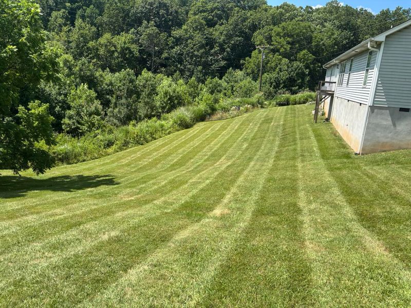 Landscaping & Hardscaping