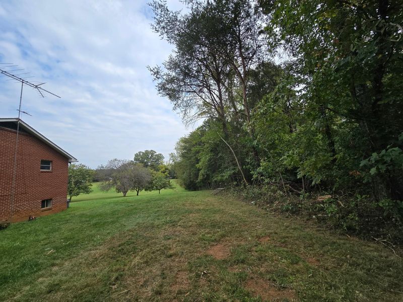 Tree Trimming