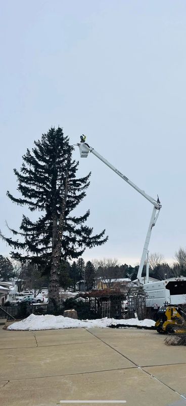 Tree Trimming & Removal