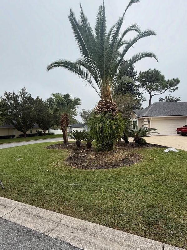 Shrub Trimming