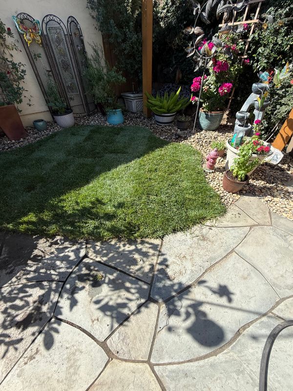 Landscaping