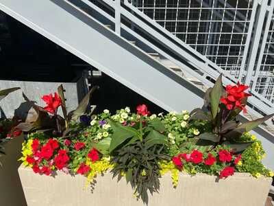 Landscaping