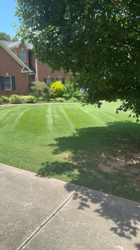 Stump Grinding and Removal