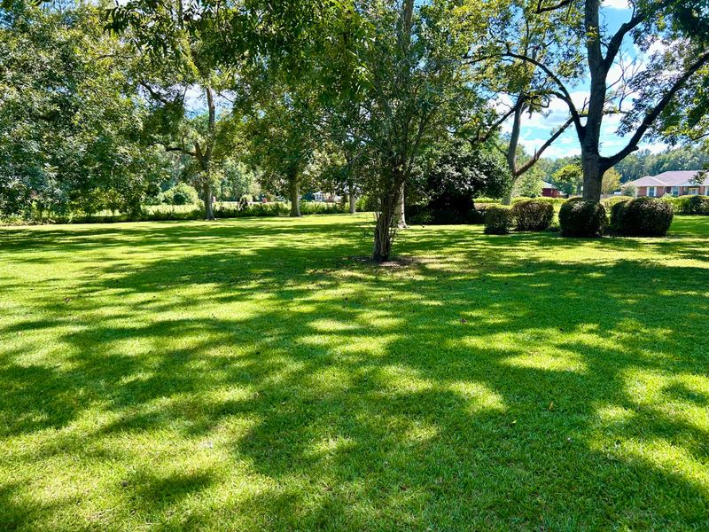 Lawn Mowing