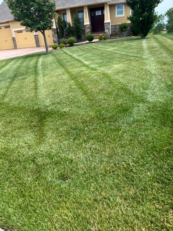 Lawn Maintenance