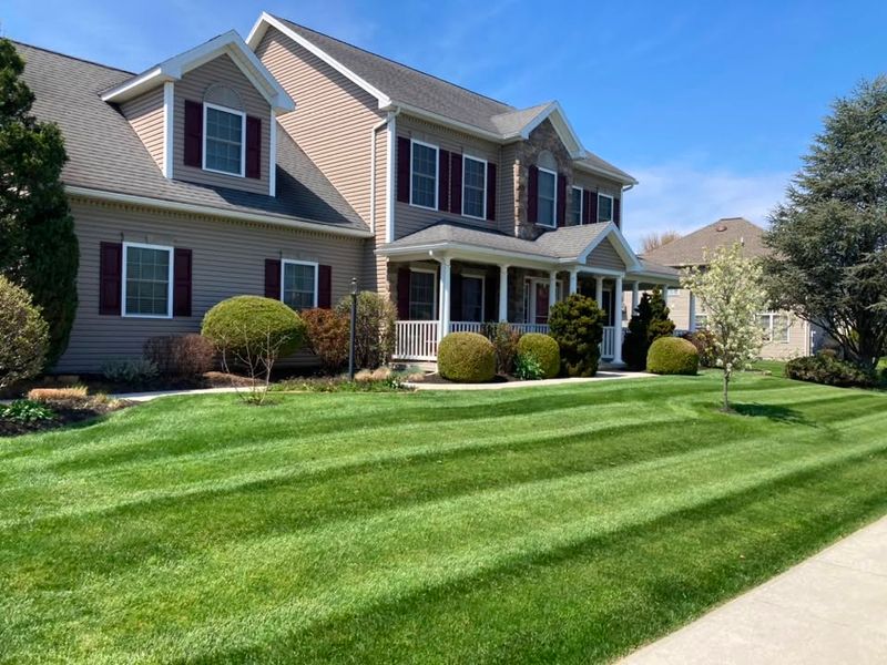 Tree & Shrub Care