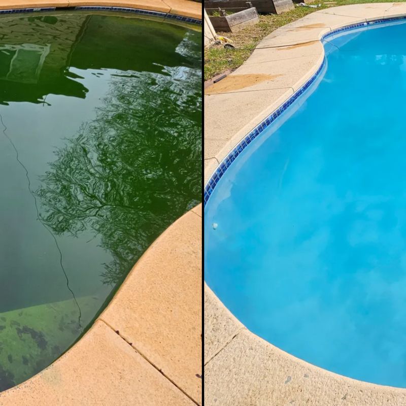 Green Pool Cleanups