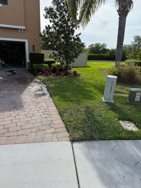 Sod Installation