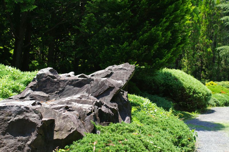 Rockbed Installation