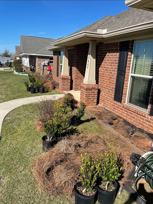 Landscape Maintenance