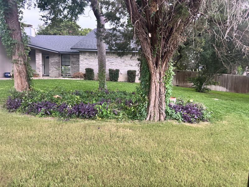 Shrubbery trimming and removal