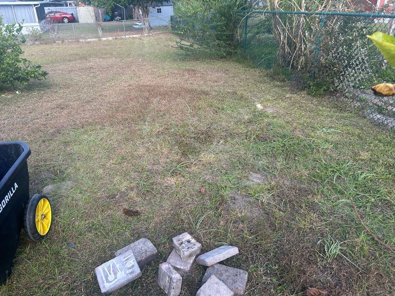 Backyard Cleanup