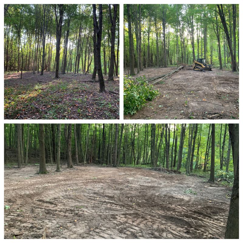 Site preps/land clearing 
