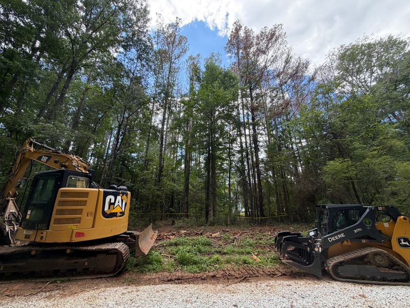 Land Clearing