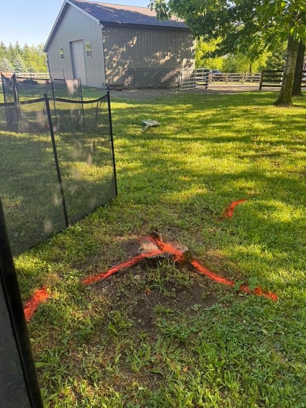 Stump Removal gallery