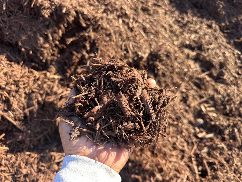 Mulch Installation