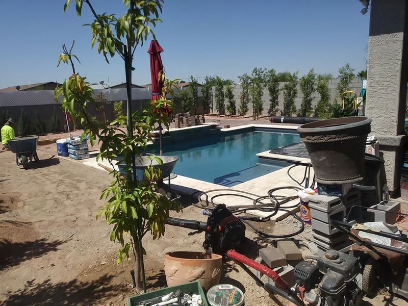 Tree Trimming & Removal
