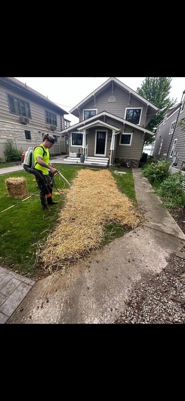 Seeding/Aeration/Fertilization