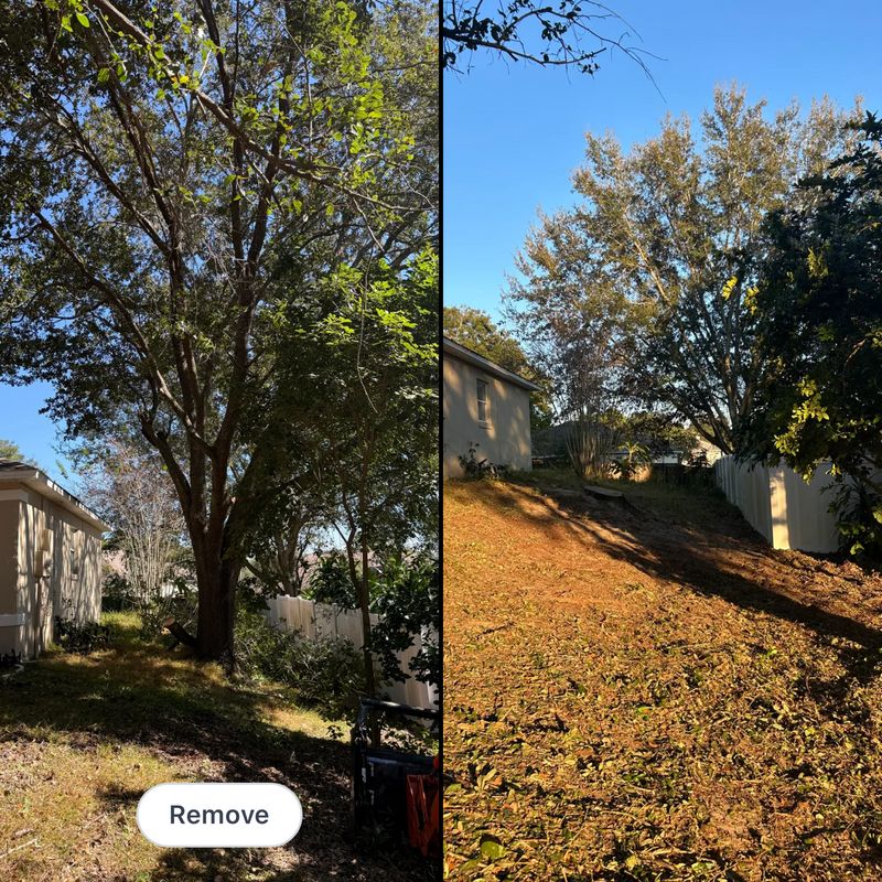 Land Clearing
