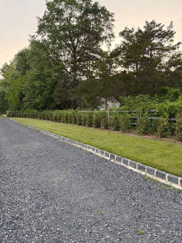 Privacy Hedges