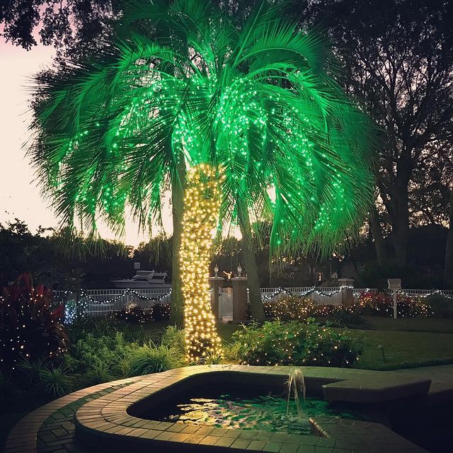 Christmas Light Installation