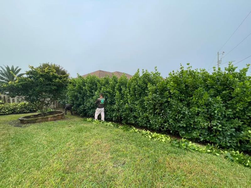 Trimming and pruning
