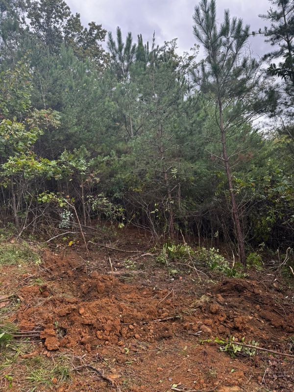 Site Preparation